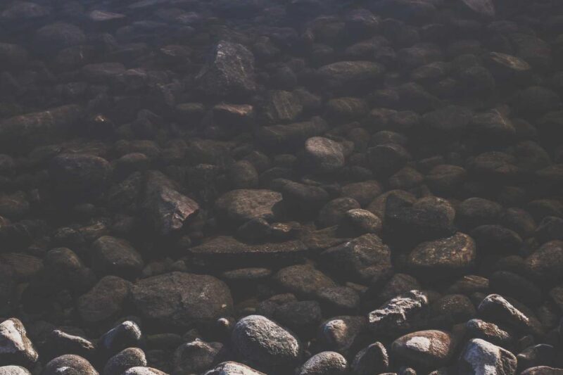 Ea ipsa similique et et magni mollitia